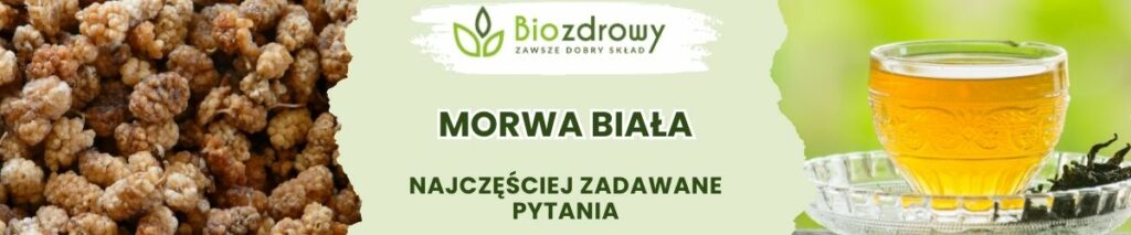 Morwa biała FAQ - obrazek poglądowy