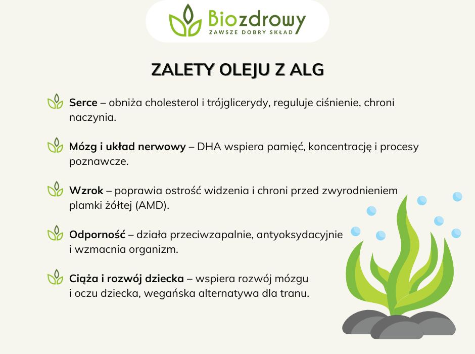 Zalety oleju z alg - infografika