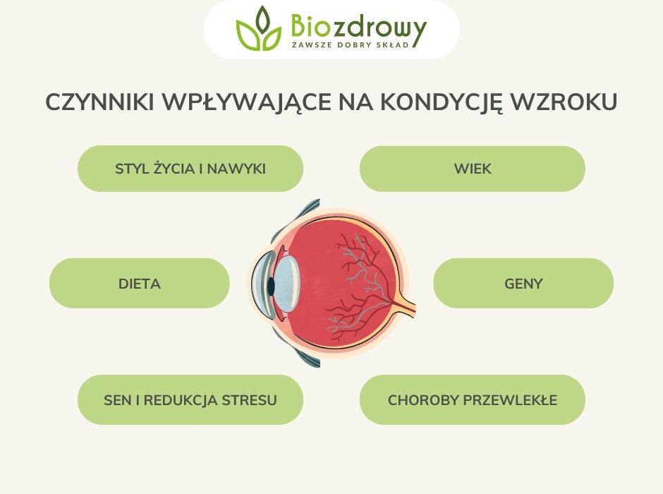 Czynniki wpływające na kondycję wzroku - infografika