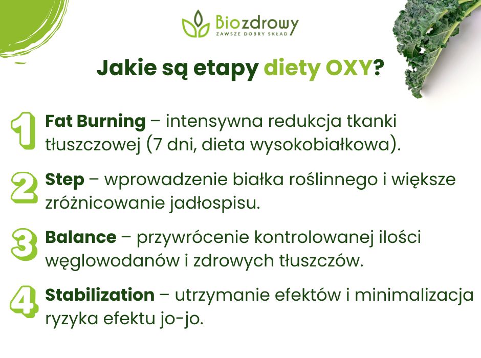 Etapy diety OXY - infografika