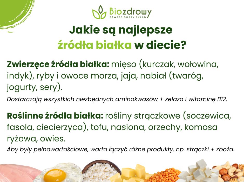 Źródła białka w diecie - infografika