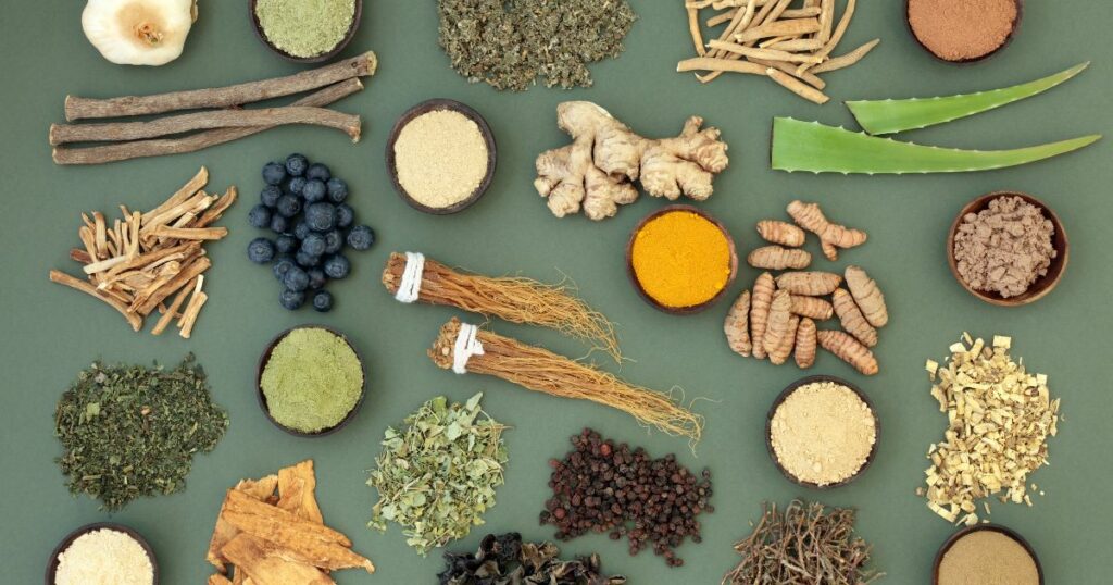 Adaptogeny–czym są i jak działają na organizm - obrazek wyróżniający