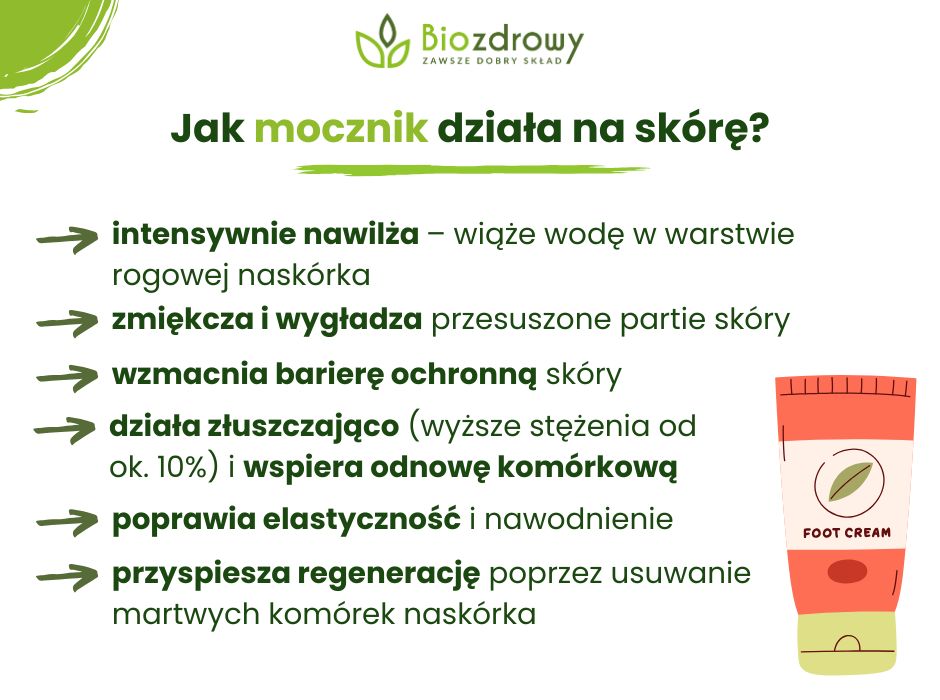 Jak mocznik działa na skórę - infografika