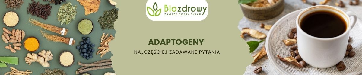adaptogeny faq - najczęściej zadawane pytania