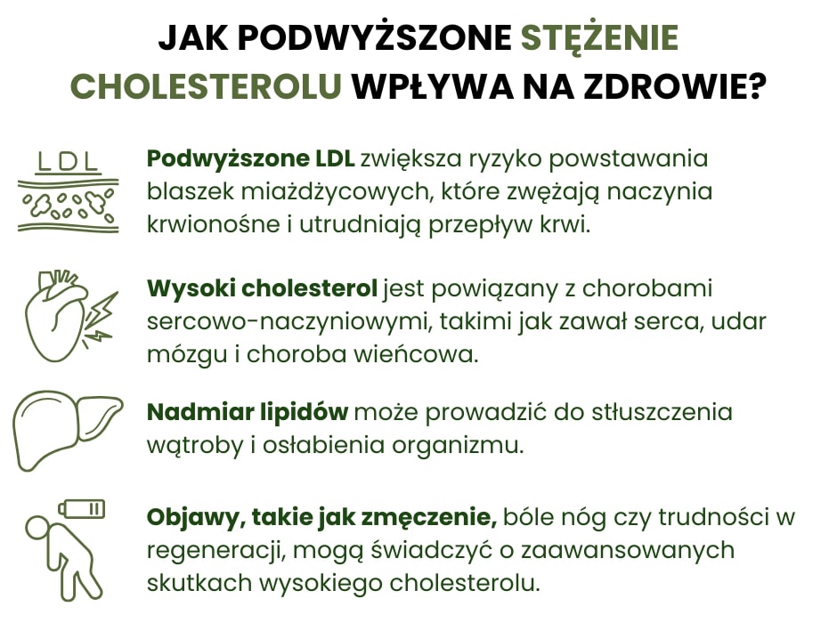 Jak podwyższone stężenie cholesterolu wpływa na zdrowie - infografika