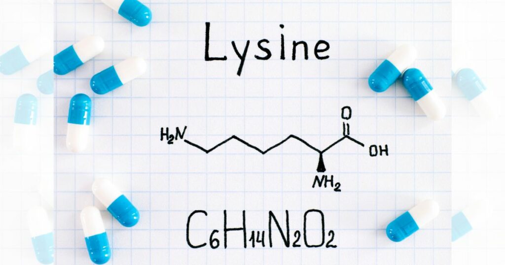 Lizyna co to jest - obrazek wyróżniający
