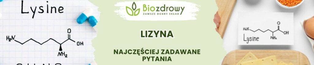 Lizyna FAQ - obrazek poglądowy