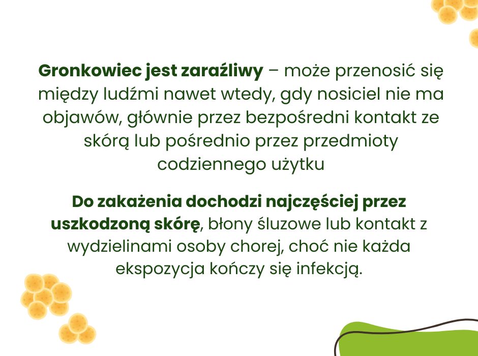 Czy gronkowiec jest zaraźliwy? - infografika