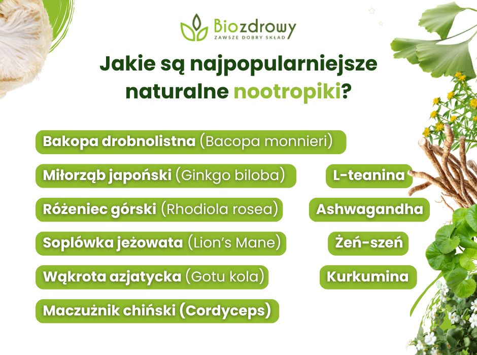 Naturalne nootropiki - infografika