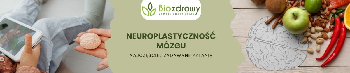 neuroplastyczność mózgu faq - najczęściej zadawane pytania