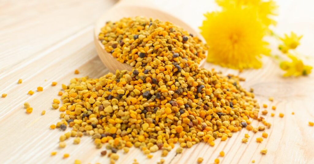 Pierzga pszczela – czym jest i jakie ma właściwości? - obrazek wyróżniający