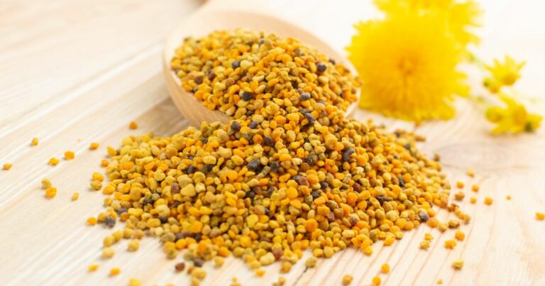 Pierzga pszczela – czym jest i jakie ma właściwości? - obrazek wyróżniający