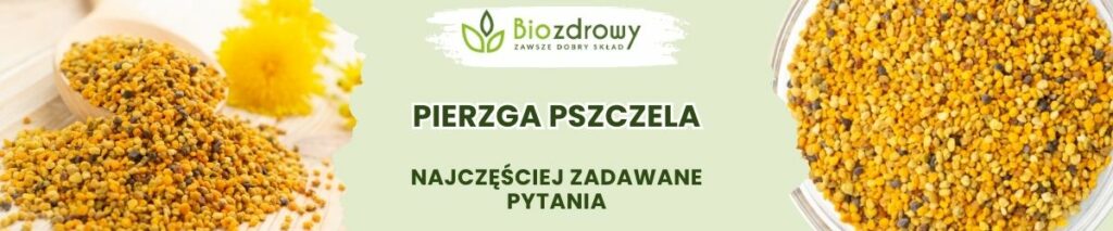 Pierzga pszczela FAQ - obrazek poglądowy