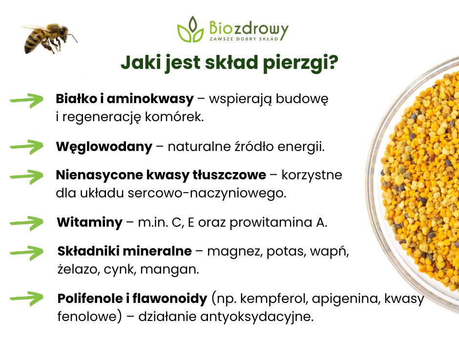 Pierzga pszczela składniki - infografika