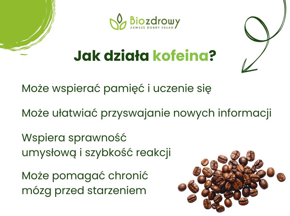 Jak działa kofeina? - infografika