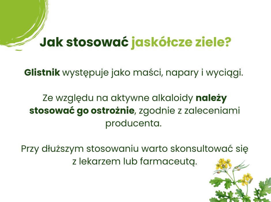 Jak stosować jaskółcze ziele? - infografika