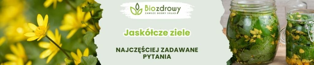 Jaskółcze ziele FAQ - obrazek poglądowy
