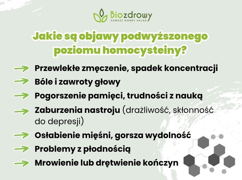 Jakie są objawy podwyższonego poziomu homocysteiny? - infografika