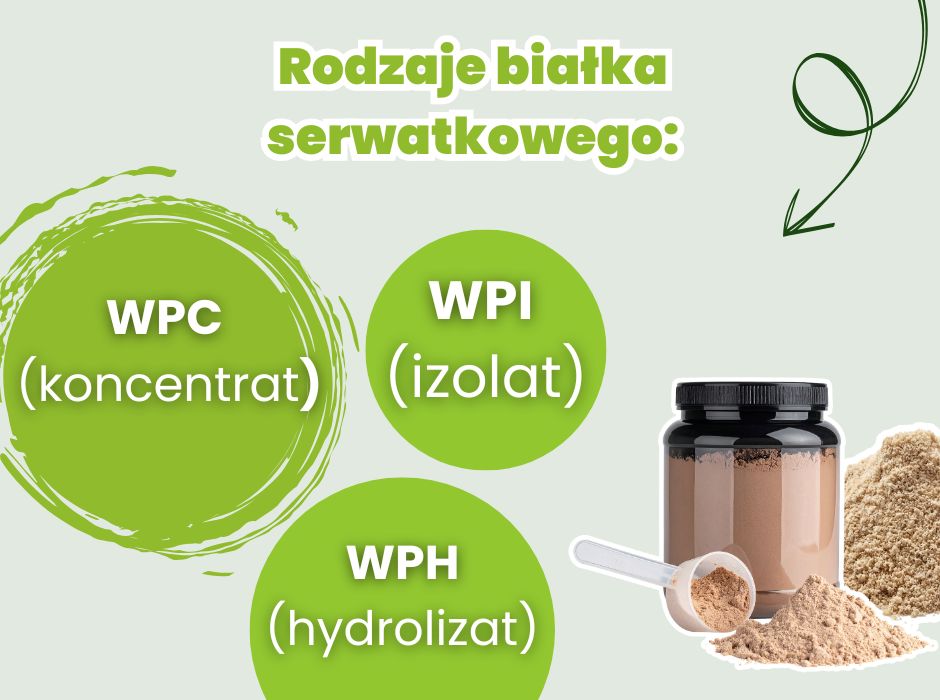 Rodzaje białka serwatkowego - infografika