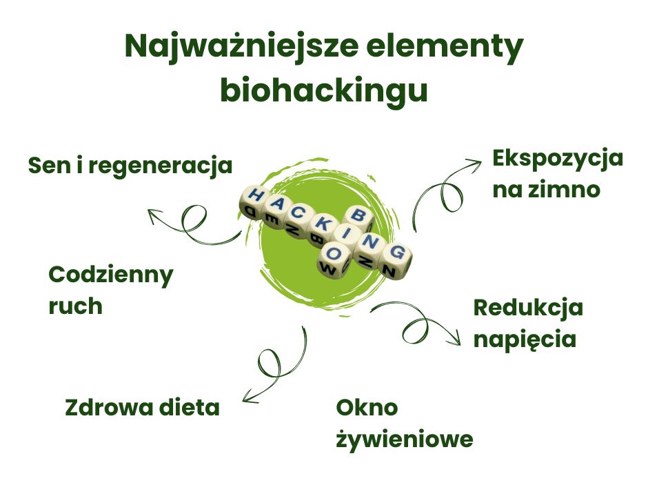 Elementy biohackingu - infografika