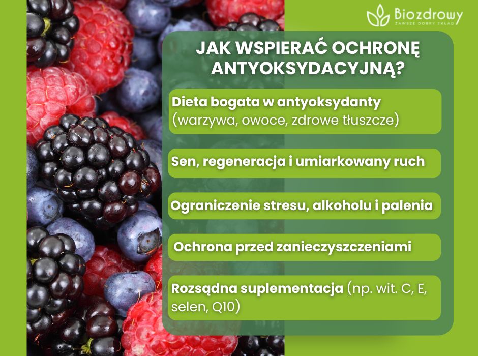 Jak wspierać ochronę antyoksydacyjną? - infografika
