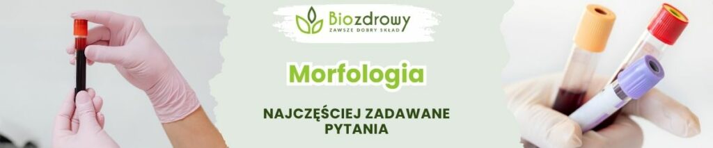 Morfologia FAQ - obrazek poglądowy
