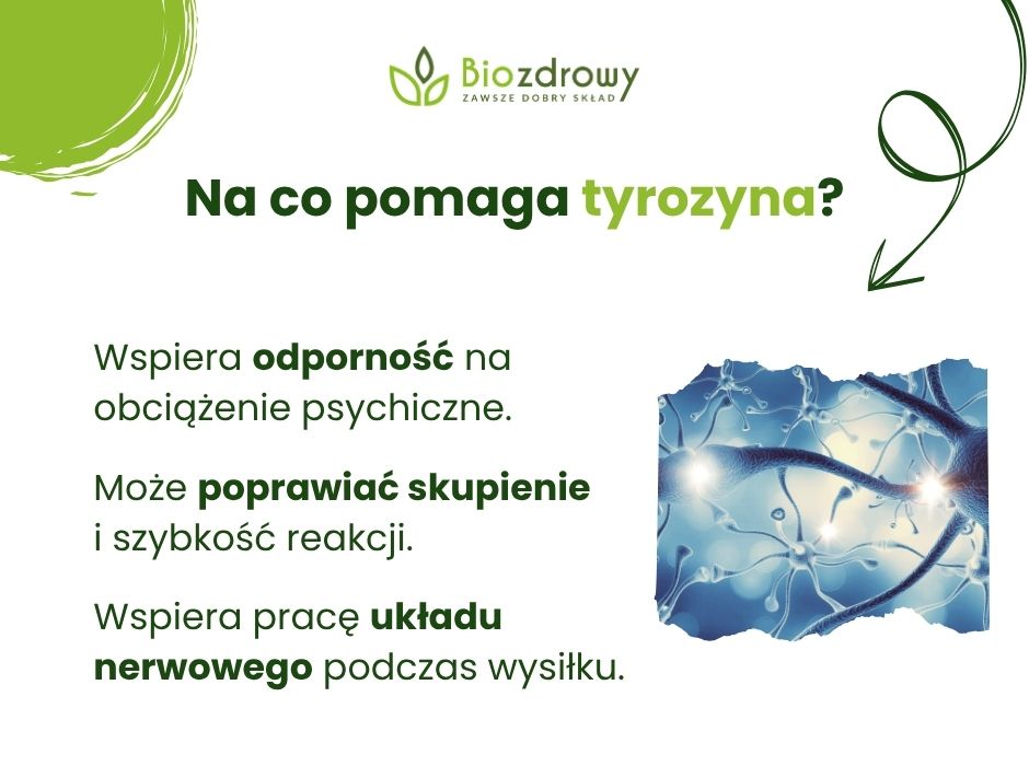 Na co pomaga tyrozyna? - infografika