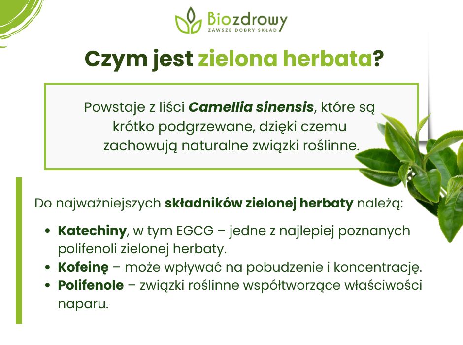 Czym jest zielona herbata - infografika