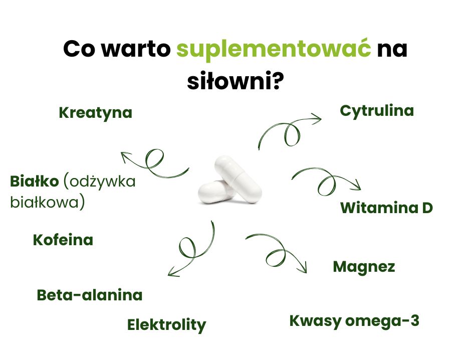 Co suplementować na siłowni? - infografika