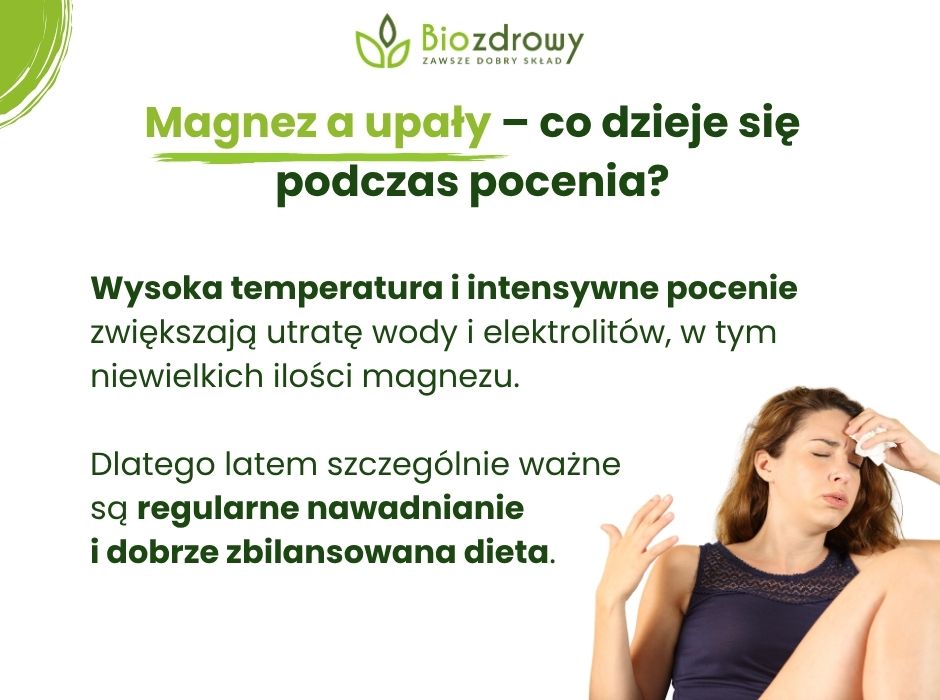Magnez a upały–co dzieje się podczas pocenia - infografika