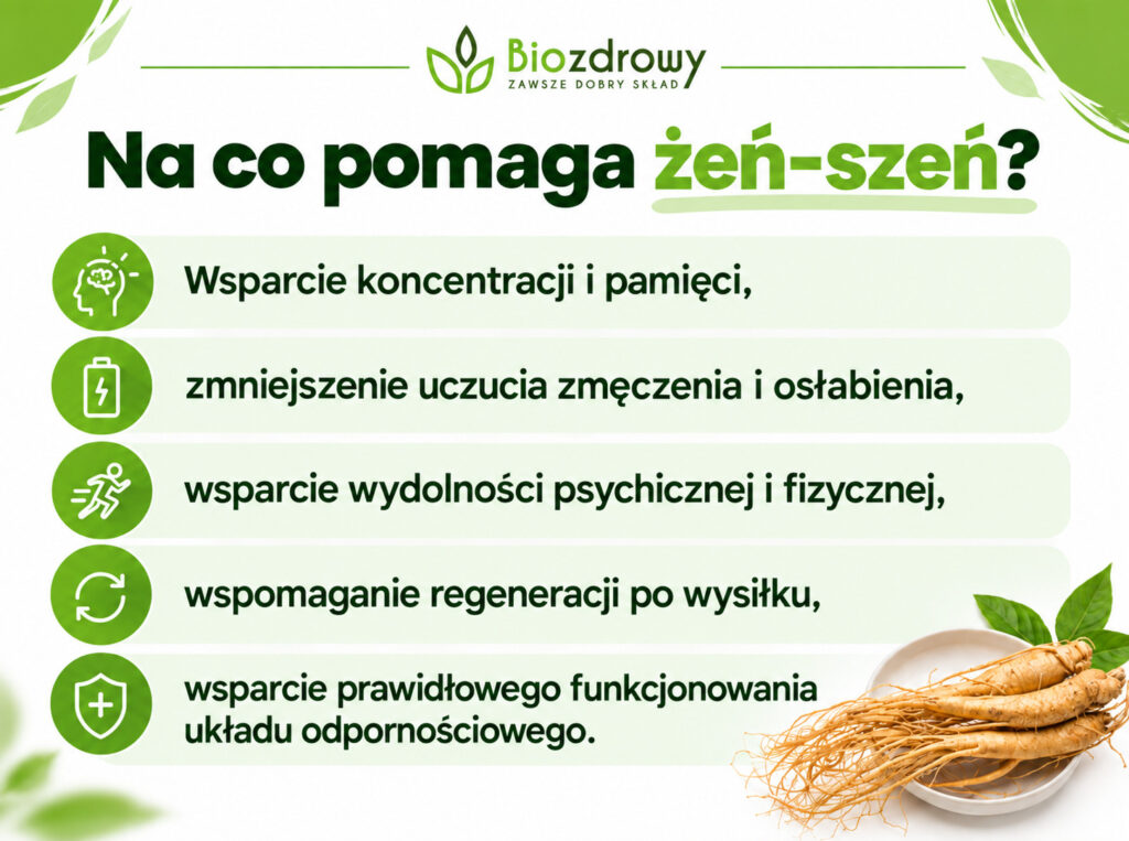 Na co pomaga żeń-szeń? - infografika