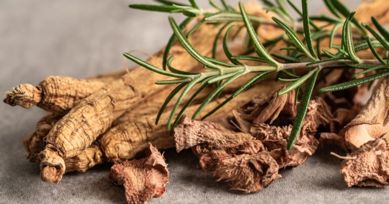 Panax ginseng (żeń-szeń) – właściwości, działanie i jak go stosować? - obrazek wyróżniający