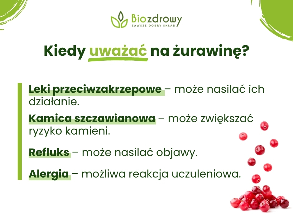 Kiedy uważać na żurawinę? - infografika