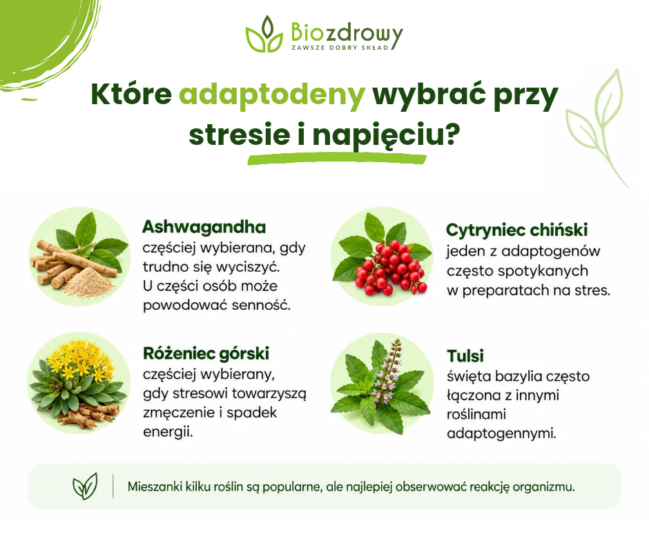 Które adaptodeny wybrać przy stresie i napięciu? - infografika