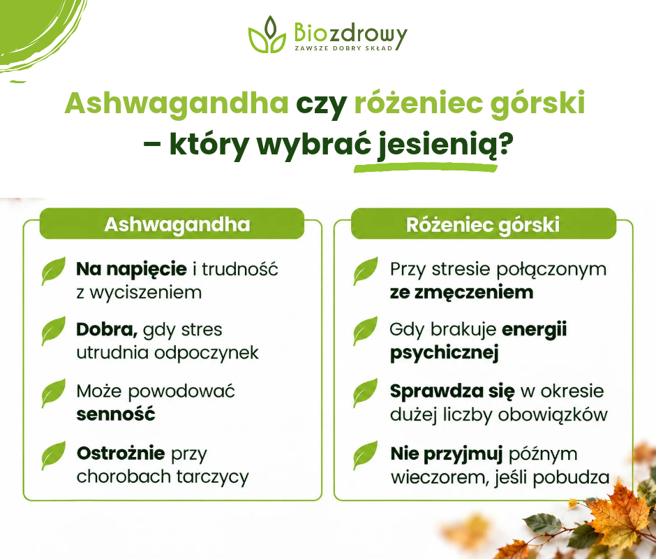 Ashwagandha czy różeniec górski 
– który wybrać jesienią? - infografika