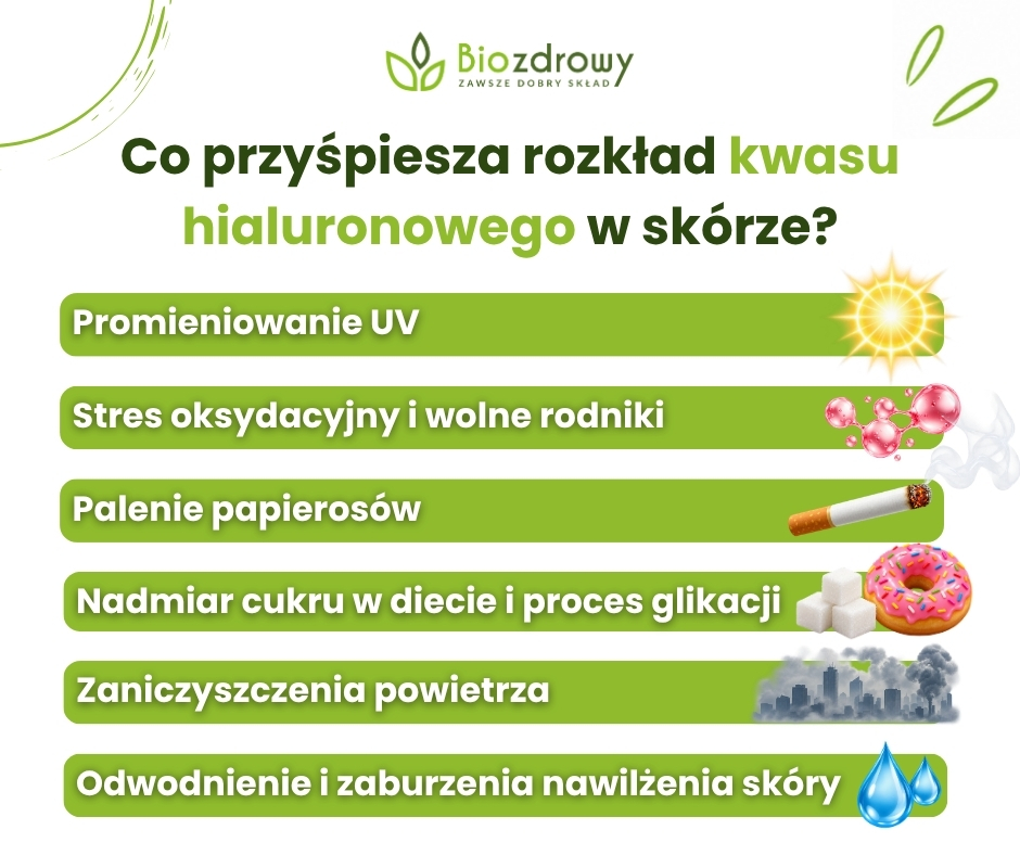 Co przyśpiesza rozkład kwasu hialuronowego w skórze? - infografika