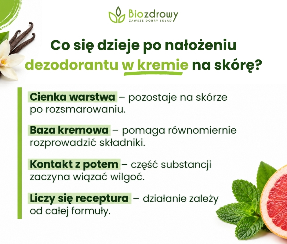 Co się dzieje po nałożeniu dezodorantu w kremie na skórę? - infografika