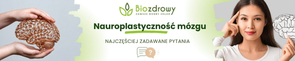 Nauroplastyczność mózgu FAQ - obrazek poglądowy