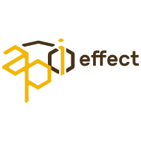 Api Effect