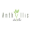 Anthyllis