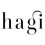 Hagi